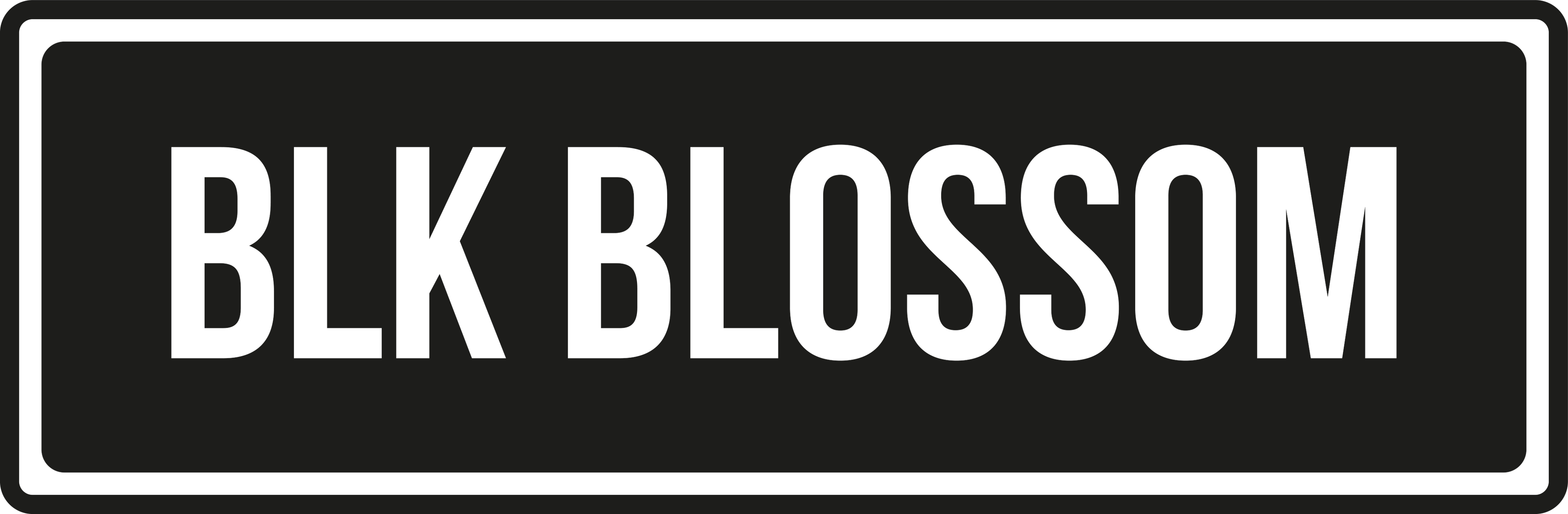 Black Blossom Apparel